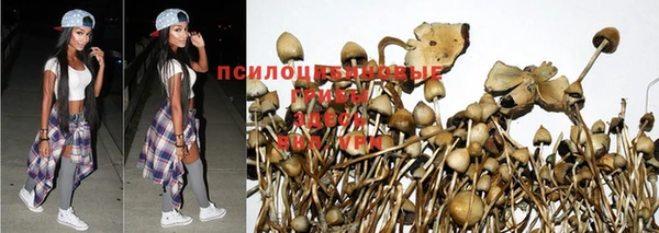 2c-b Кулебаки